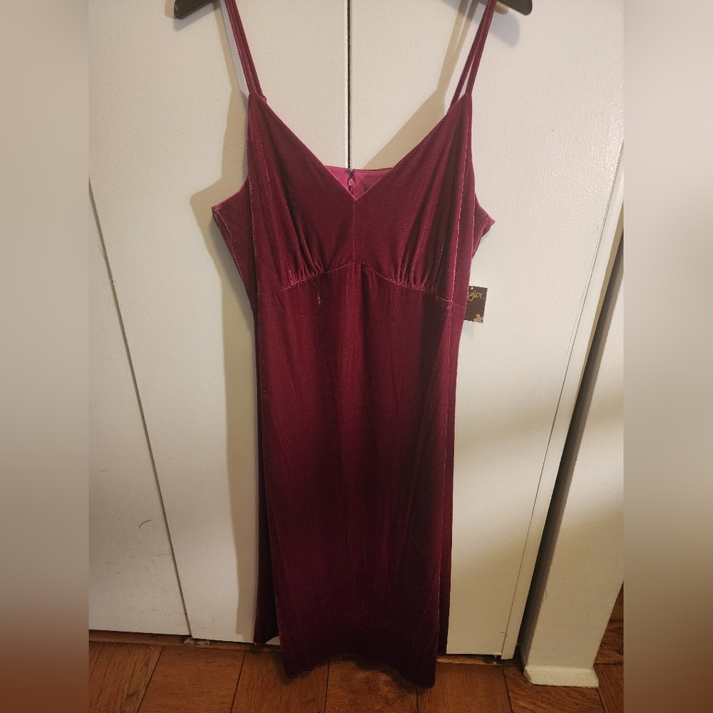 NWT Elegant Burgundy Slip Dress